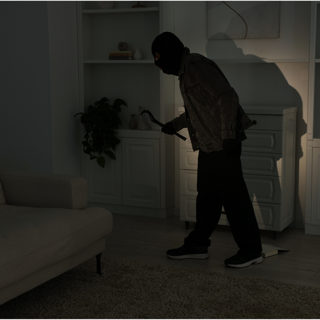 Burglar inside a home