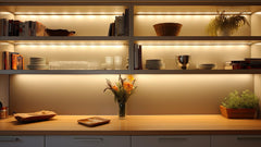 Cabinet & Shelf Lighting