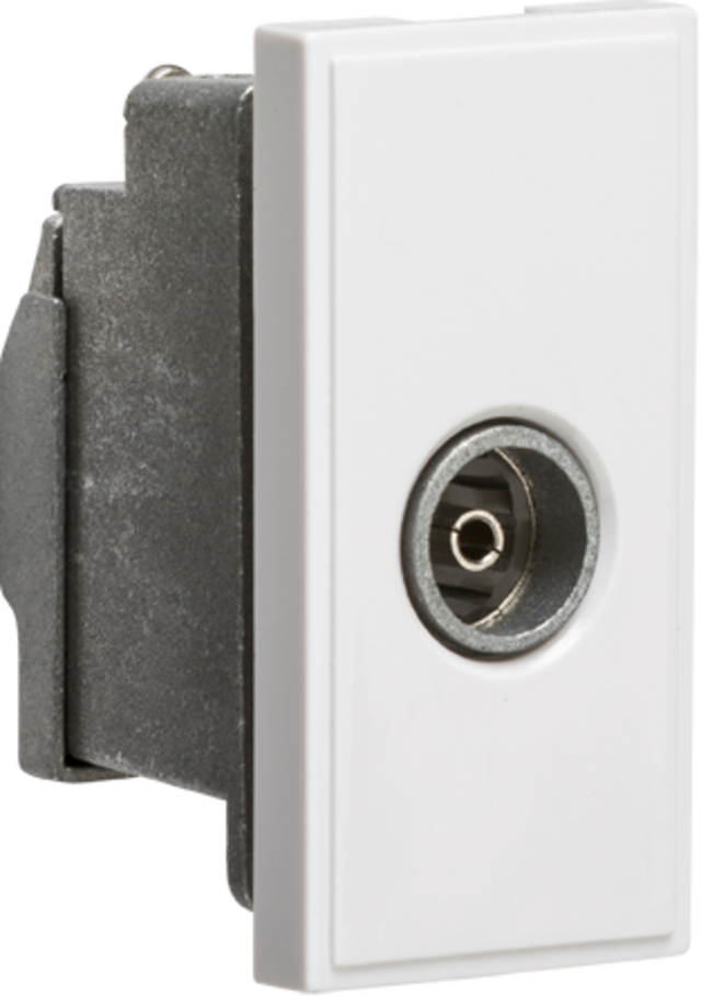 ML Accessories Screened TV Outlet 25 x 50mm - White