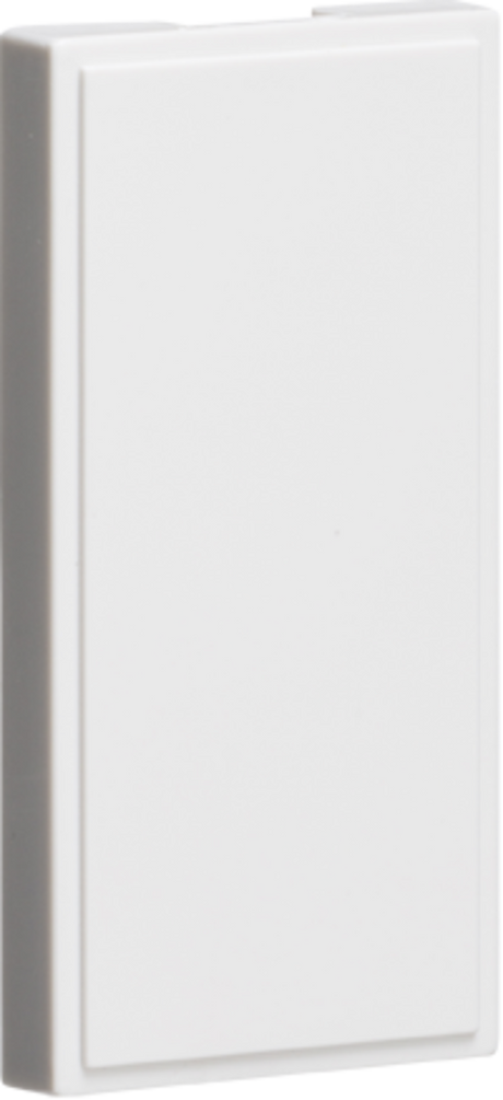 PACK OF 10 - Half Blanking Modules (25 x 50mm) - White