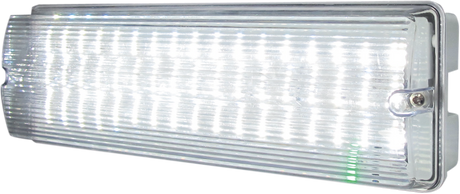 230V IP65 6W LED Emergency Bulkhead - Maintained/Non-Maintained