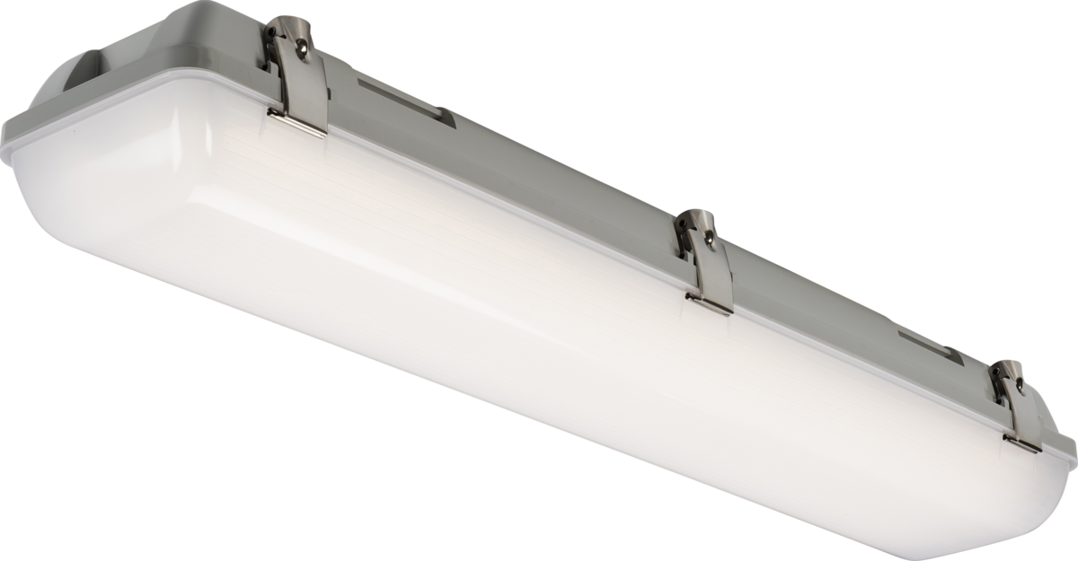 Torlan 230V IP65 2ft Selectable LED Light