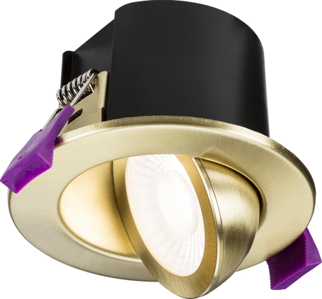 SpektroLED Evo Tilt Fire Rated IP65 Downlight - Brushed Brass