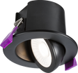 SpektroLED Evo Tilt Fire Rated IP65 Downlight - Matt Black