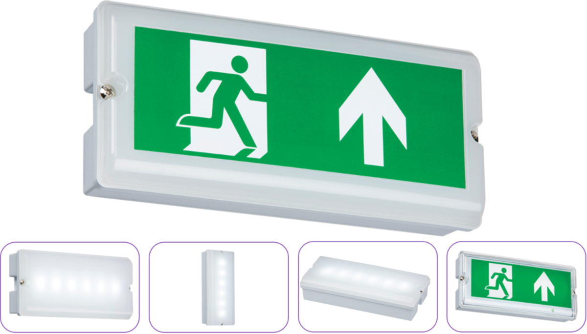 230V IP65 3W LED Emergency Bulkhead with Maintained/Non-Maintained Options