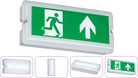 230V IP65 3W LED Emergency Bulkhead with Maintained/Non-Maintained Options