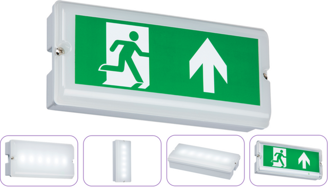 230V IP65 3W LED Emergency Bulkhead with Maintained/Non-Maintained Options