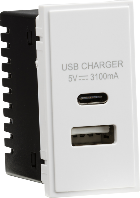 Dual USB A+C Charger Module 25x50mm - White