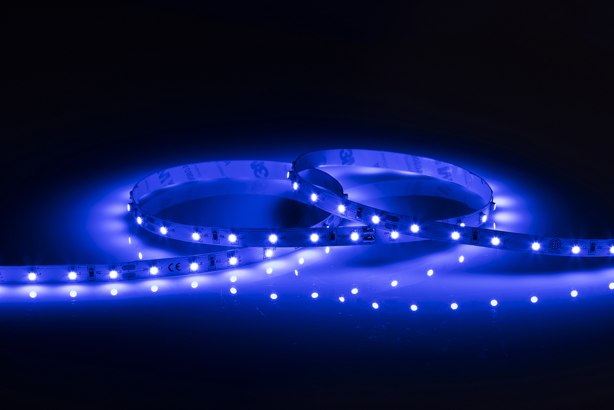 24V IP20 LED Flex Blue 50 Metres