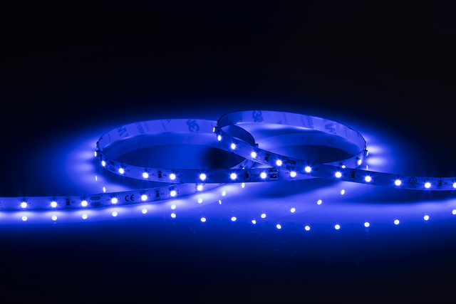 24V IP20 LED Flex Blue 50 Metres