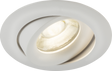 Odina Single Tilt Round Downlight - White