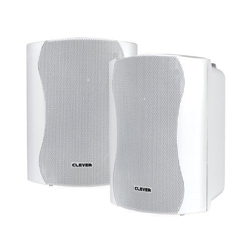 Clever Acoustics CRSP31 ohm speaker