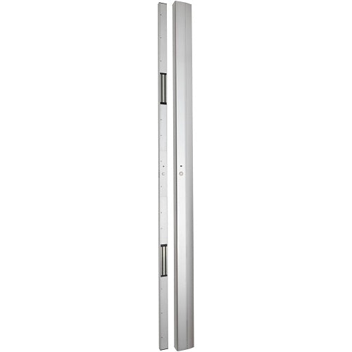 RGL Electronics DHM600-200 magnetic lock