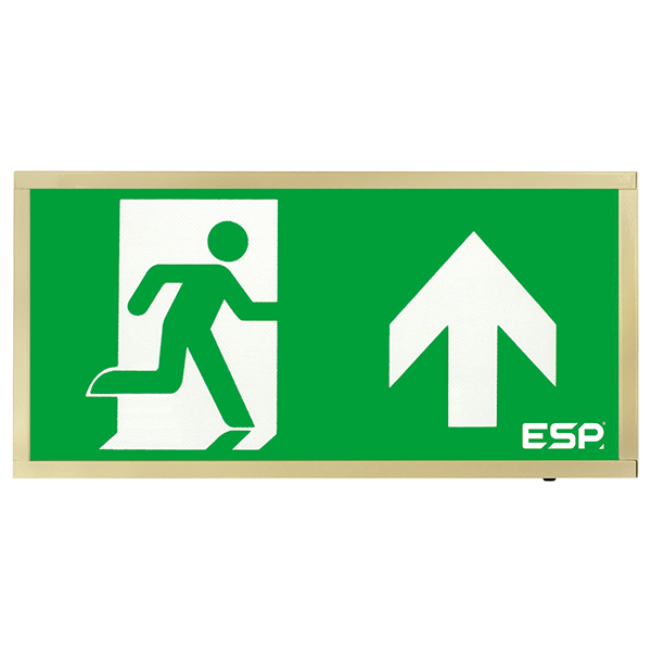 Duceri D120SUBR Emergency Exit Box 3W LED IP20 Up Legend Maintained Brass
