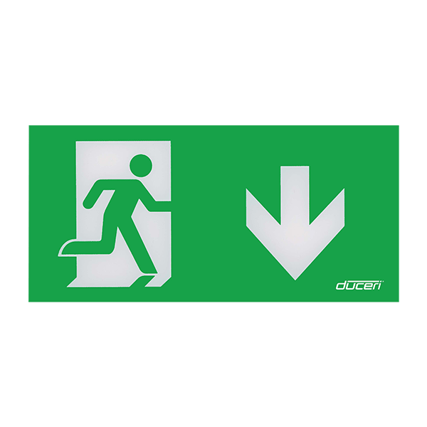 ESP EMEXBOXLGDD EXIT BOX Legend DOWN