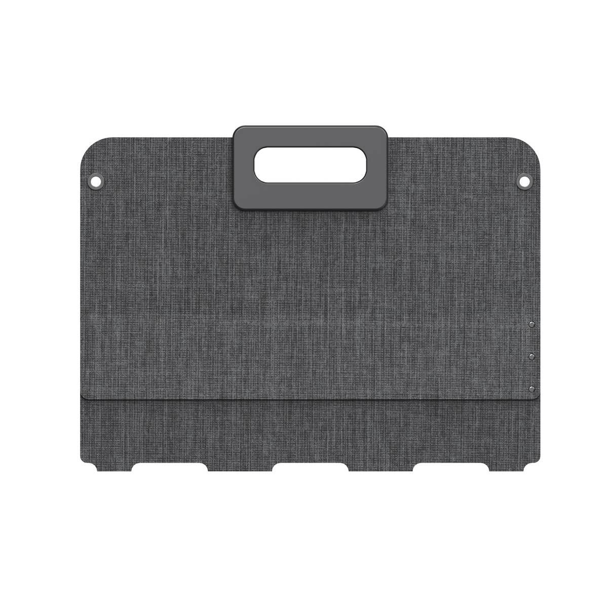CS-PSP100-R100-DS100W
