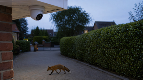 White turret camera under the eaves of a brick house watching a driveway as a fox crosses at dusk