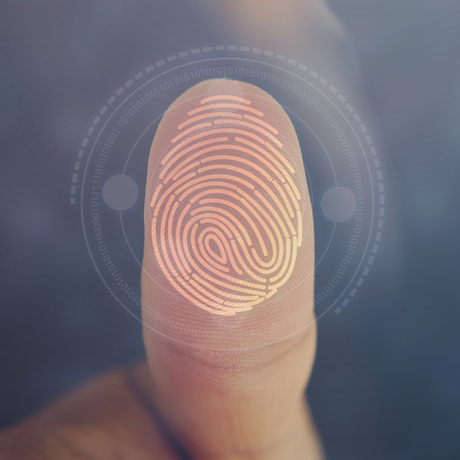 A fingerprint being scanned 