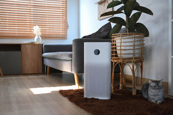 Air Purifiers & Filters