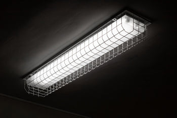 Bulkhead Lights