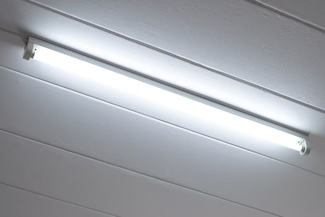 Fluorescent light bulb on the ceiling 