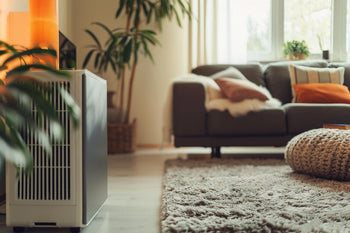 Dehumidifiers