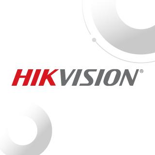 Hikvision Logo