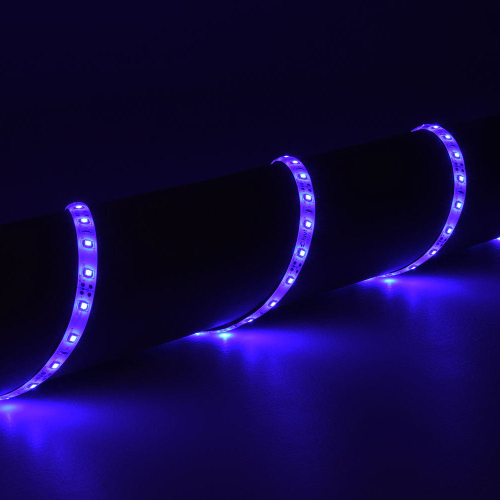 LYYT 153.723UK 5m blue single-colour LED tape kit
