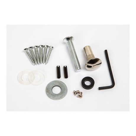 RGL Electronics 600GB replacement screw bag