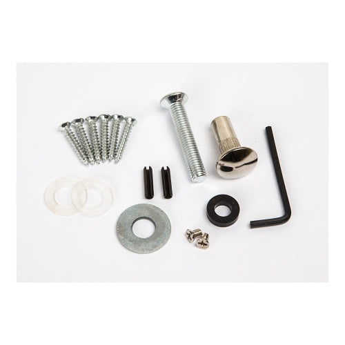 RGL Electronics 600GB replacement screw bag