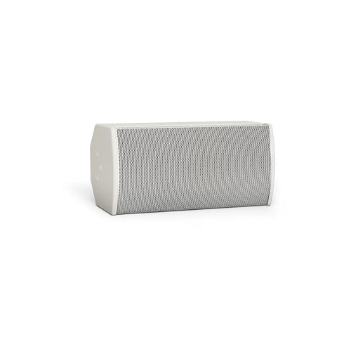 Bose Professional 893798-0200 compact high-performance loudspeaker