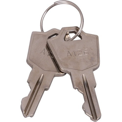 RGL Electronics A126 KEY key for locking devices