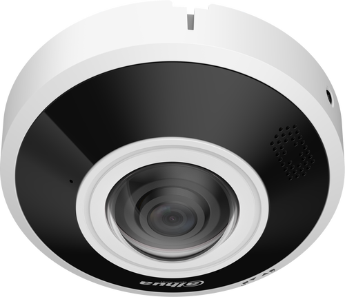 Dahua Technology DH-IPC-EBW5641-AS fisheye IP camera