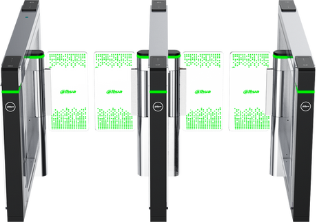 Dahua Technology DHI-ASGB810X-R swing turnstile