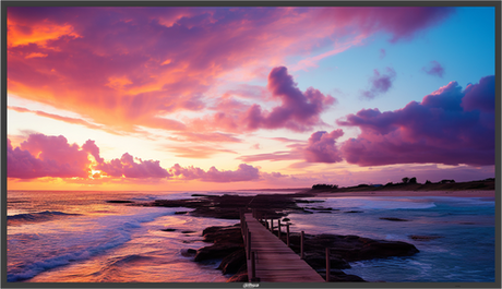Dahua Technology DHI-LM86-S400N LED monitor