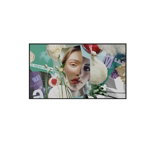 Hikvision DS-D6050UN-DL digital signage