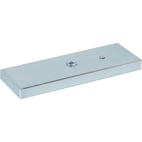 RGL Electronics EXARM1200 armature plate