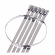 Haydon HAY-SS200 200mm x 4.6mm Stainless Steel Cable Ties - Pack of 100, Durable & Secure