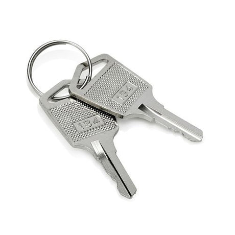 Haes Technologies KEY134 key, silver
