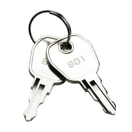 Haes Technologies KEY801 key, silver