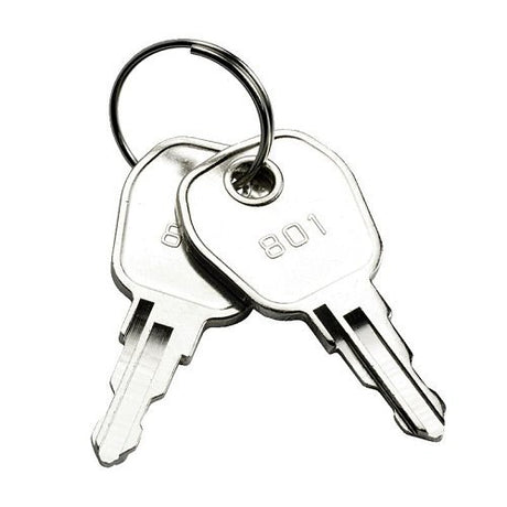 Haes Technologies KEY801 key, silver