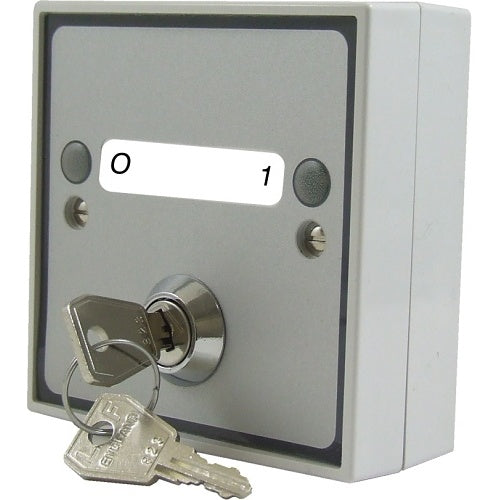 Hoyles S1709PRG key switch, white