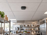 Ajax FireProtect 2 AC Heat in a café preparation kitchen with a 600 mm modular ceiling.