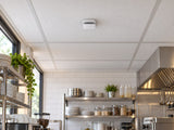 Ajax FireProtect 2 SB Heat/CO in a small café preparation kitchen with a 600 mm modular ceiling.