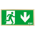 Duceri D120DBR Emergency Exit Box 3W LED IP20 Down Legend Maintained Brass