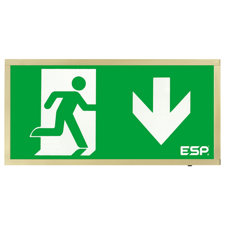 Duceri D120DBR Emergency Exit Box 3W LED IP20 Down Legend Maintained Brass