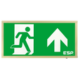 Duceri D120SUBR Emergency Exit Box 3W LED IP20 Up Legend Maintained Brass