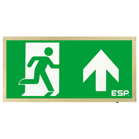 Duceri D120SUBR Emergency Exit Box 3W LED IP20 Up Legend Maintained Brass