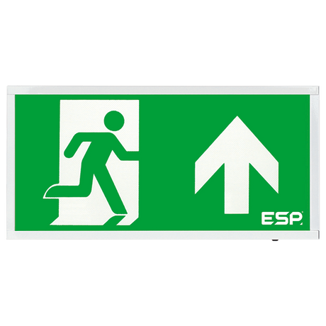 Duceri D520UWH Emergency Self-Test Exit Box 3W LED IP20 Up Legend Maintained White