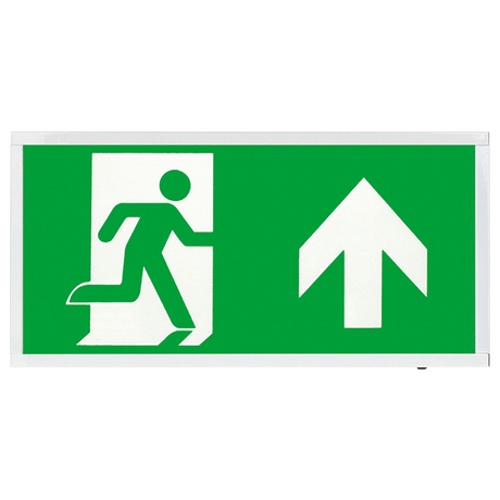 Duceri EMSTLED3WMEXBOXU Emergency Self-Test Exit Box Up Legend 3W LED IP20 White
